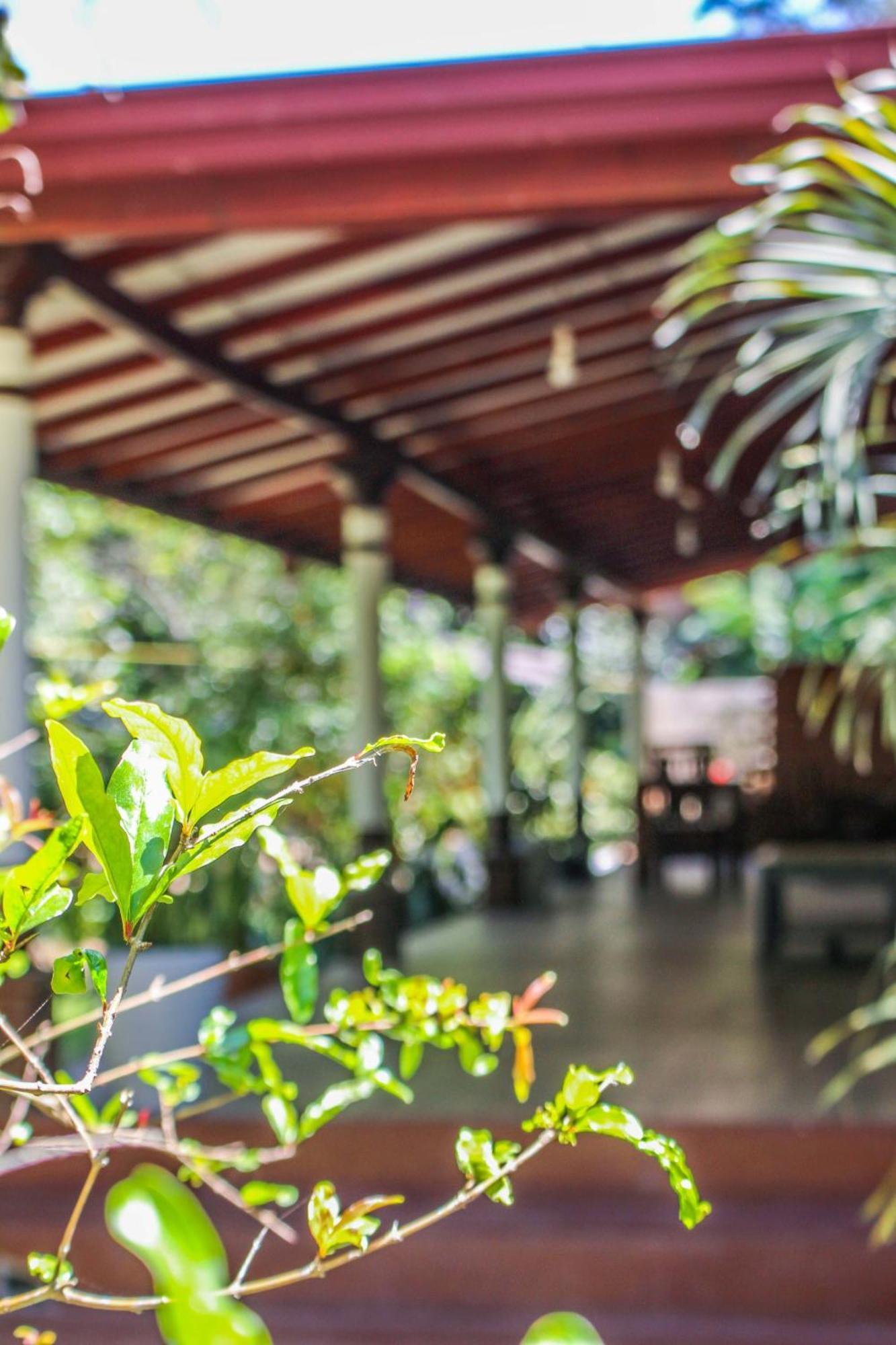 Lavender Homestay Ella Exterior photo